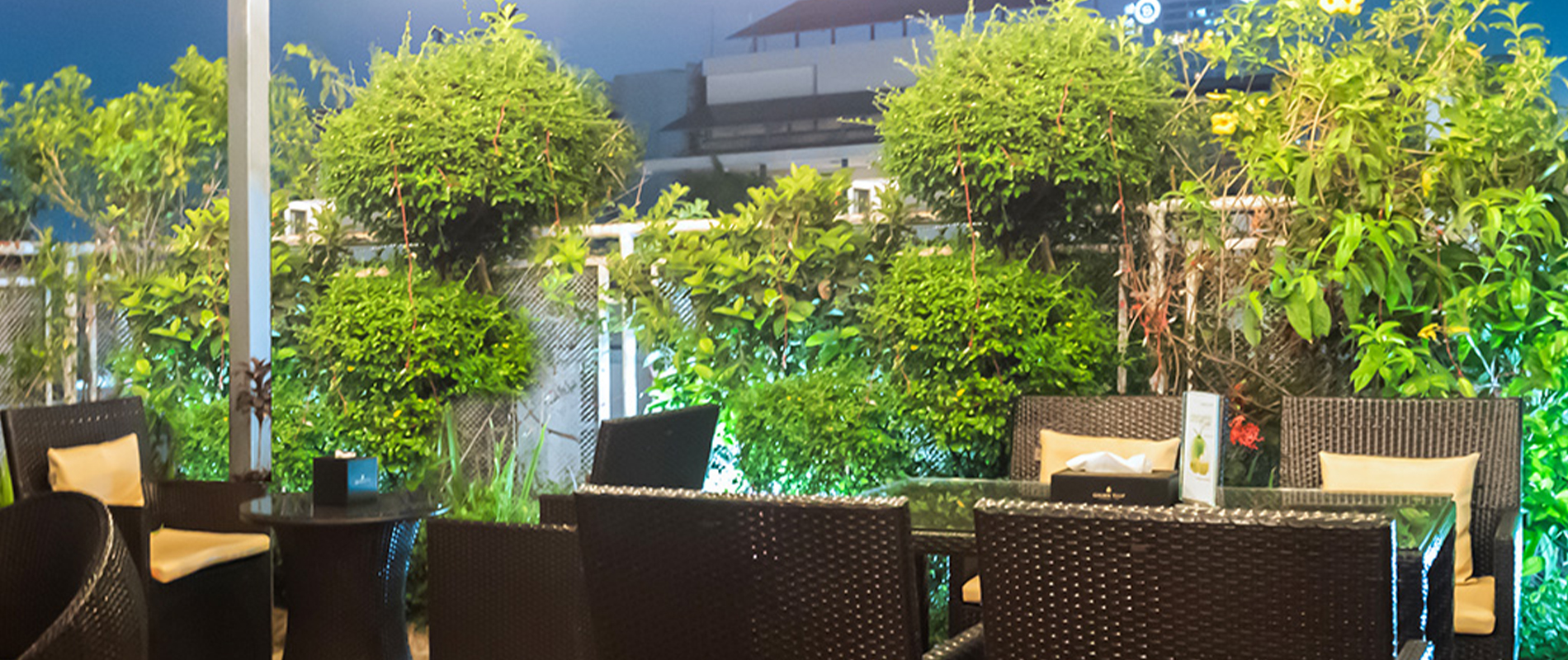 Skyline Tulip: Your Luxury Rooftop Oasis